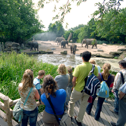 13. Unieke ervaring dierentuin BLIJDORP (8 pers)